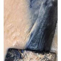 東莞地下水管漏水側(cè)漏 小區(qū)工廠水管檢測(cè)漏水_供應(yīng)產(chǎn)品-佛山奇達(dá)管線探測(cè)